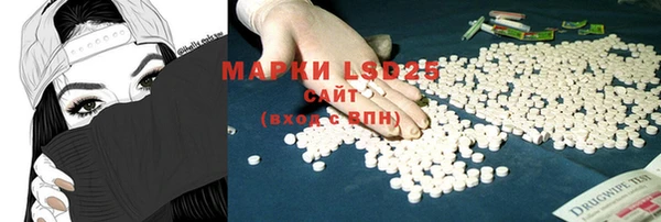 прущие грибы Белокуриха