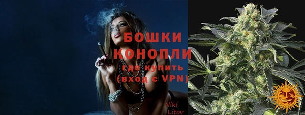 прущие грибы Белокуриха