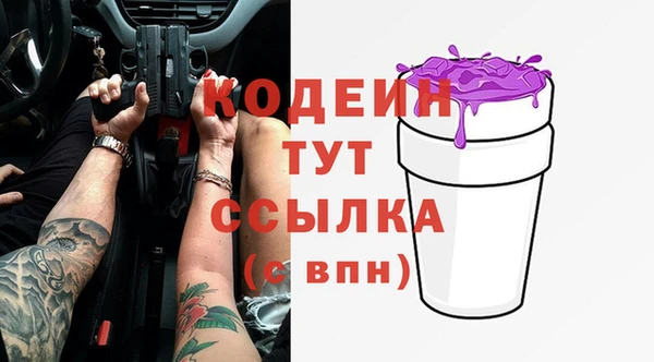 прущие грибы Белокуриха