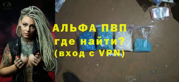 прущие грибы Белокуриха
