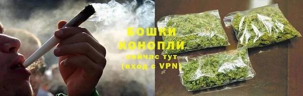 прущие грибы Белокуриха