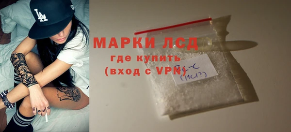 прущие грибы Белокуриха