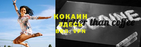 прущие грибы Белокуриха