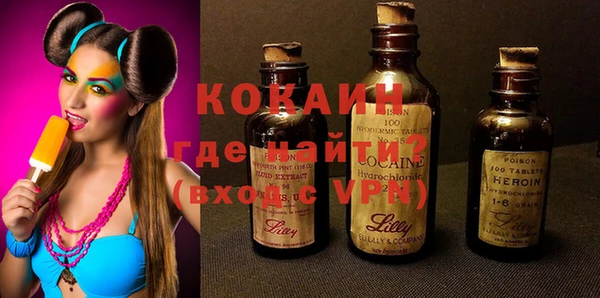 прущие грибы Белокуриха