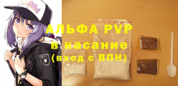 прущие грибы Белокуриха