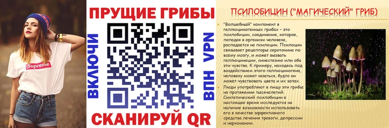 Псилоцибиновые грибы Psilocybine cubensis  Куйбышев 